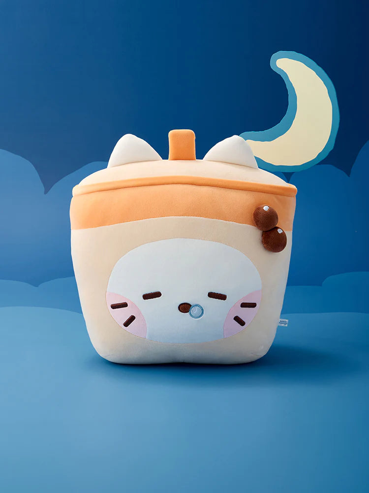 NCT WISH - wishnini house MEDIUM PLUSH CUSHION NCT  DKshop