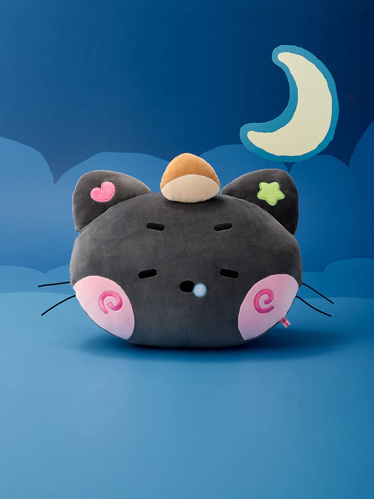 NCT WISH - wishnini house MEDIUM PLUSH CUSHION NCT  DKshop