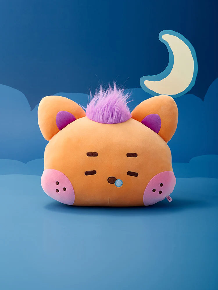 NCT WISH - wishnini house MEDIUM PLUSH CUSHION NCT  DKshop