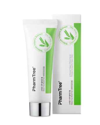 [K-Pharmacy Item] PharmTree Stimothica Energy Recovery Relief Gel 80ml PharmTree  DKshop
