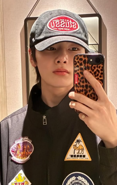 [Breezfy] Leopard MagSafe iPhone Case - Graphite Frame (straykids i.n wear) Breezfy  DKshop