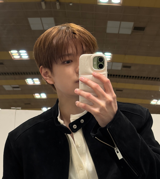 Urban Sophistication The Puffer Phone Case (Stray Kids Seungmin Wear) Urban Sophistication  DKshop