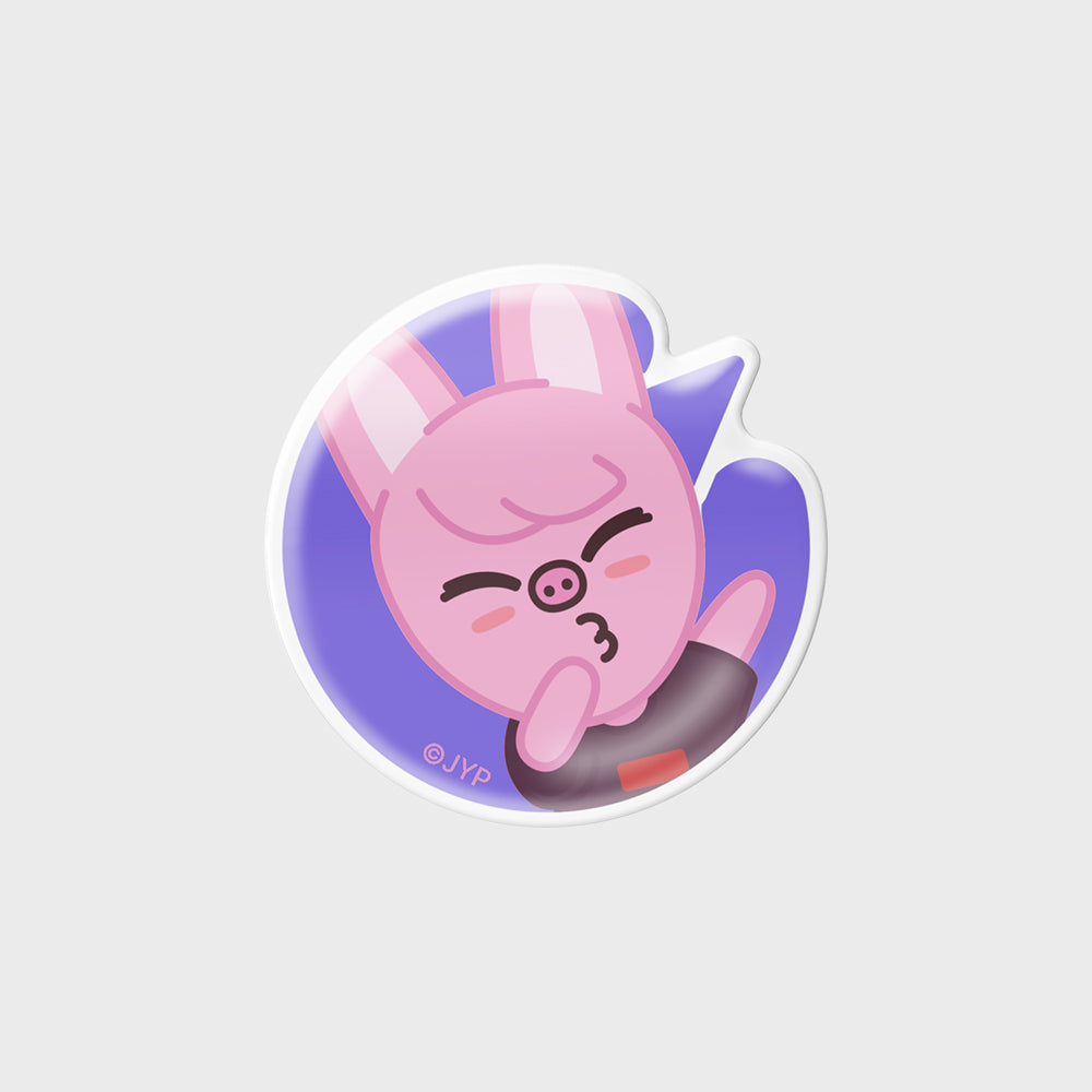 Stray Kids X SLBS SKZOO NFC Theme Tok | Kpop Merch