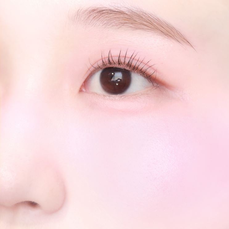 COLORGRAM TINTIN DORY DUO BLUSHER (5 Colors) COLORGRAM  DKshop