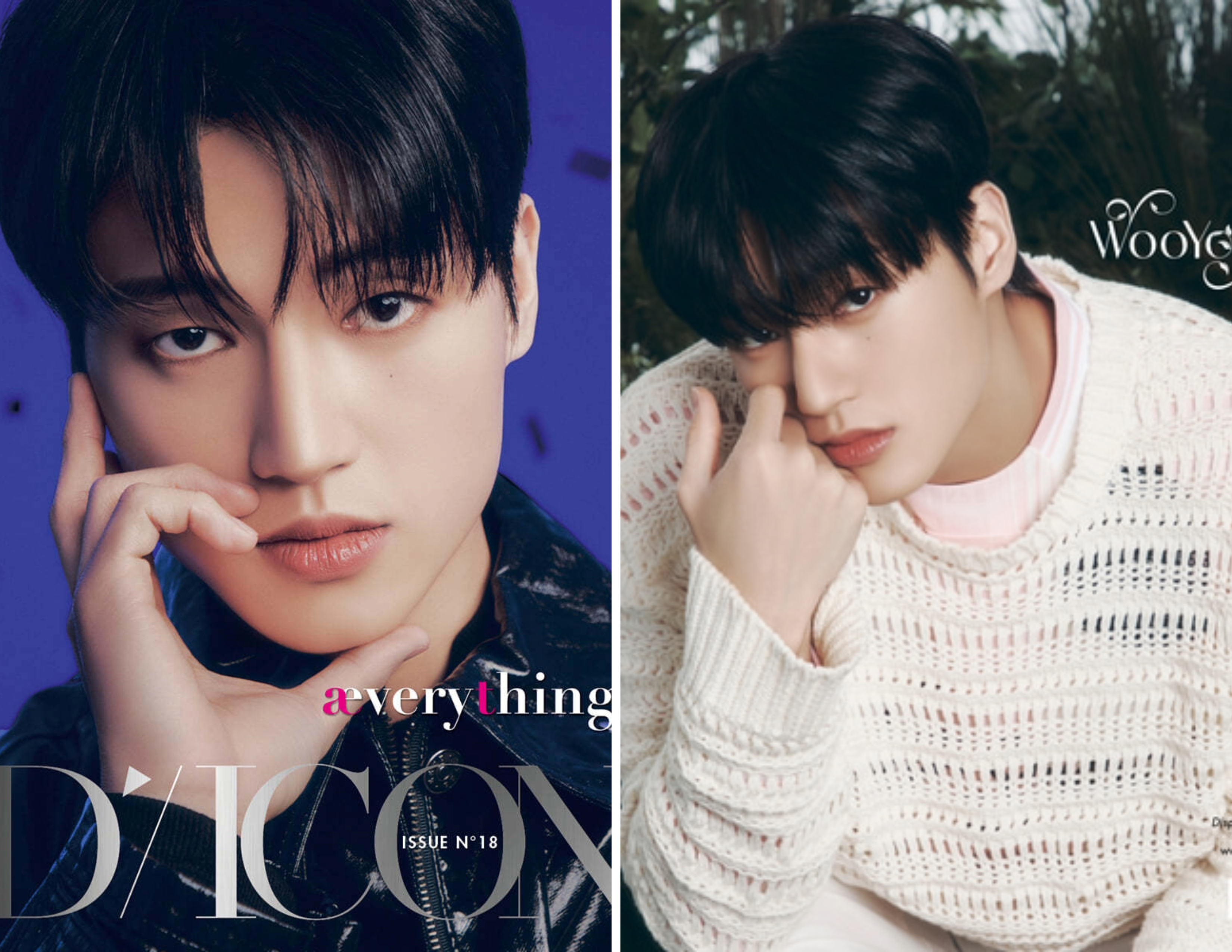 DICON VOLUME N°18 ATEEZ : æverythingz