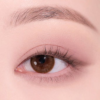 dasique Shadow Palette daisique  DKshop