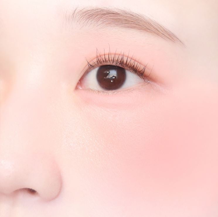 COLORGRAM TINTIN DORY DUO BLUSHER (5 Colors) COLORGRAM  DKshop