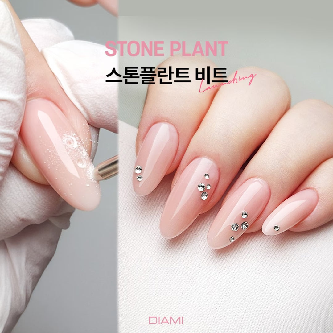 [DIAMI] Stone Plant Nail Drill Bit for Accessories SARACEN  DKshop