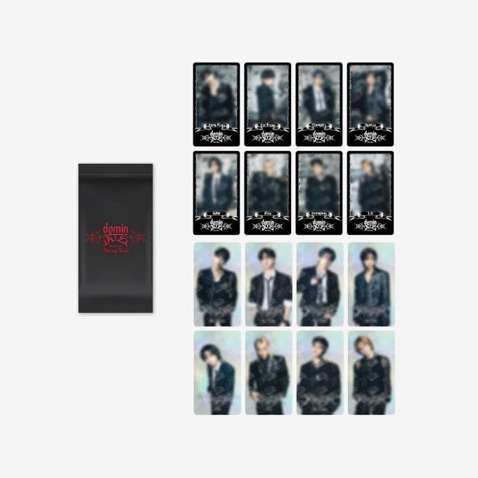 [dominATE SEOUL] Stray Kids SPECIAL TRADING CARD | DKshop