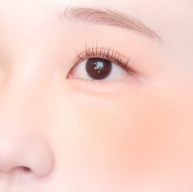 COLORGRAM TINTIN DORY DUO BLUSHER (5 Colors) COLORGRAM  DKshop