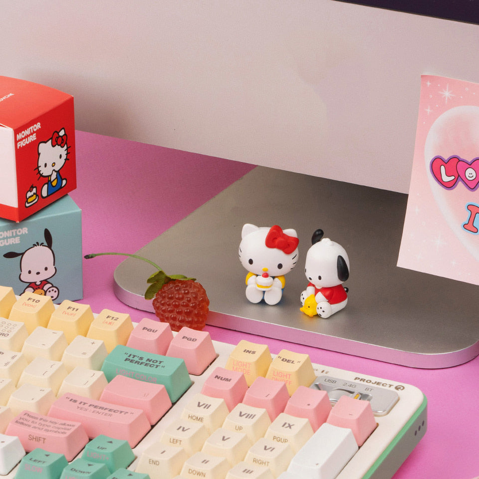 ROYCHE Sanrio Monitor Figure ROYCHE  DKshop