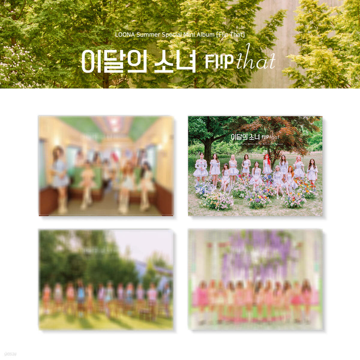 LOONA - LOONA Summer Special Mini Album : Flip That (Random Ver.) | DKshop