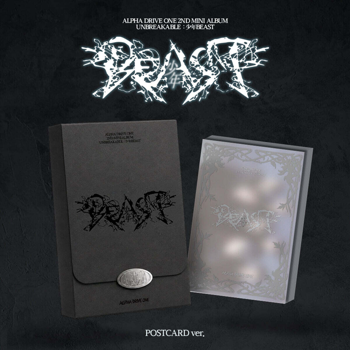 ALPHA DRIVE ONE - 2nd Mini Album UNBREAKABLE : 少年BEAST (POSTCARD Ver.) ALPHA DRIVE ONE  DKshop