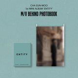 CHA EUN-WOO 1st Mini Album ENTITY FABRIC POSTER