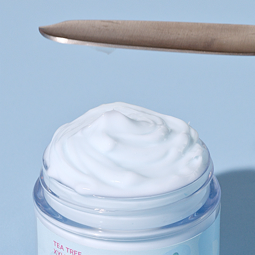 [VERTTY] TEA TREE XYLITOL WATER JET CREAM 60ml VERTTY  DKshop