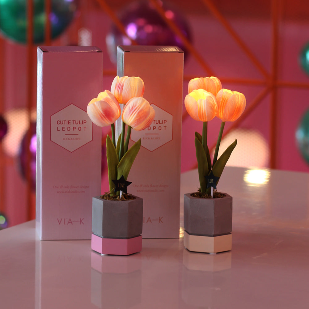 [Grip & Shop] ViaKstudio Cutie Tulip Pot LED Lamp