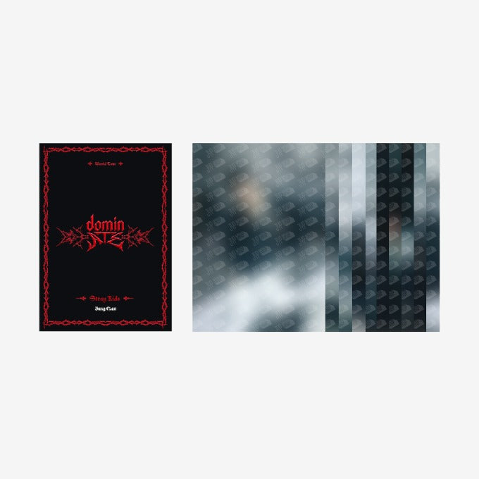 [dominATE SEOUL] Stray Kids POSTCARD BOOK | DKshop