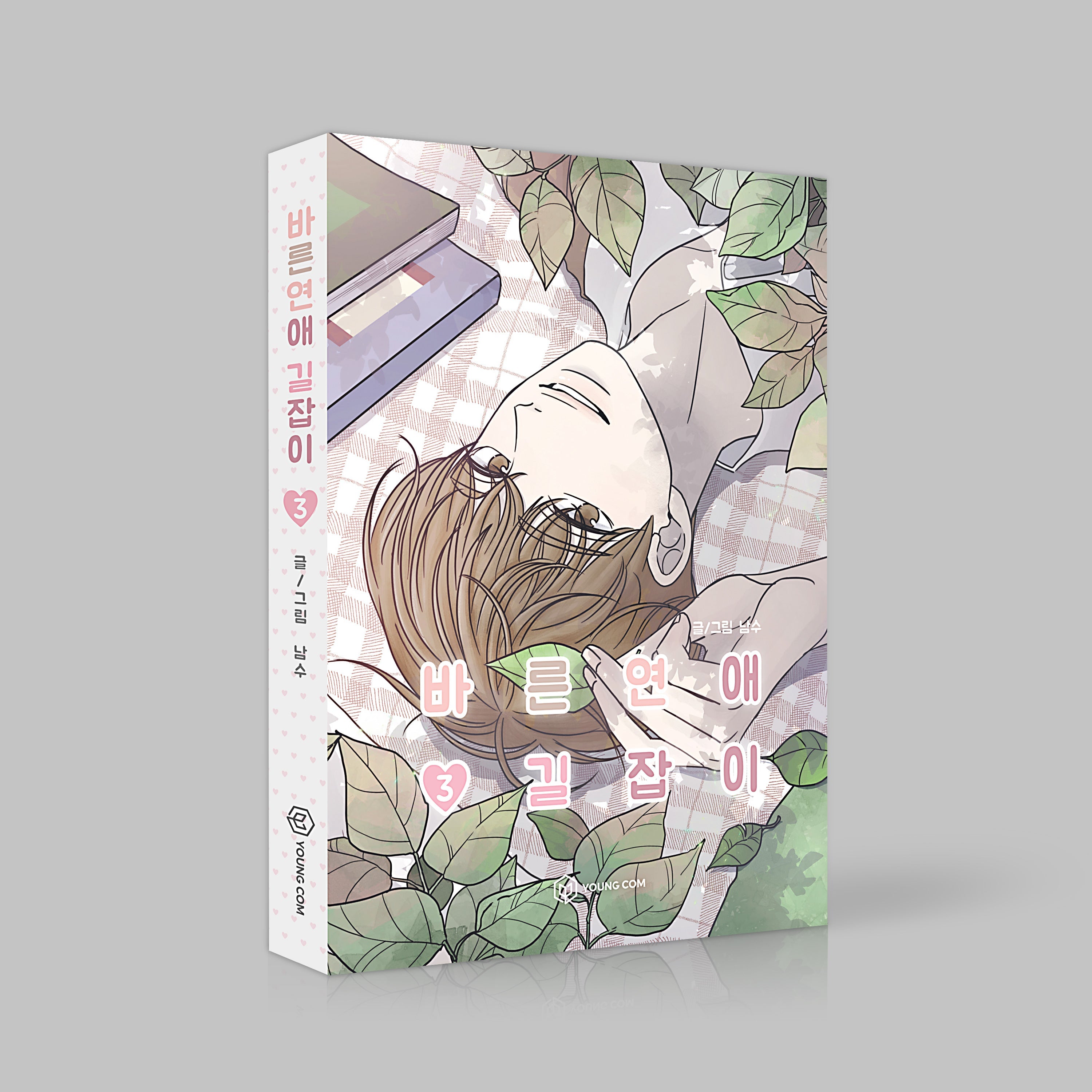 romance 101 manhwa book volume 3 korean version dkshop