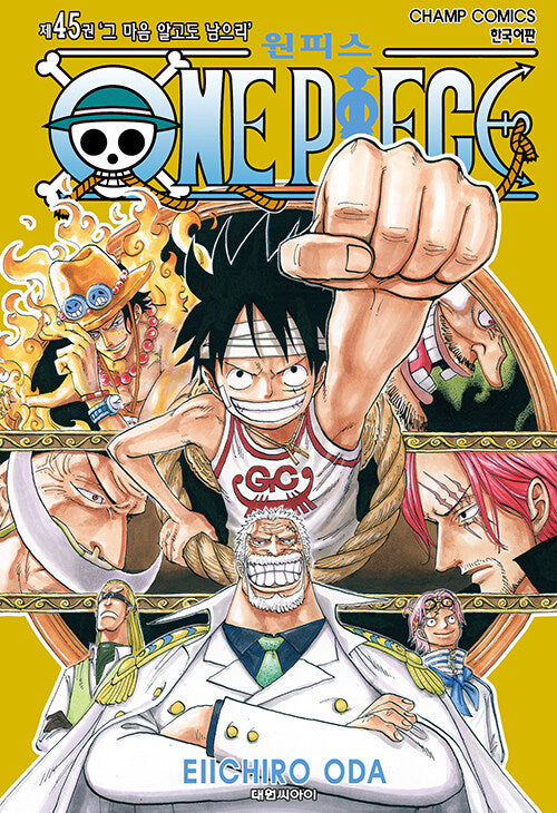 One Piece - Manhwa Book Vol.45 [Korean Ver.] | DKshop